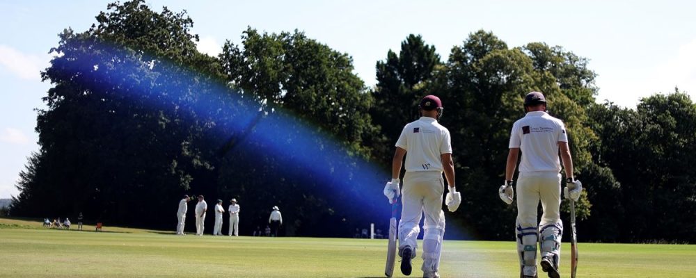Duke of Norfolk XI v Lord’s Taverners, Arundel, 16/08/2024